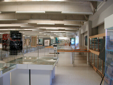 Second floor of the Malacological Museum